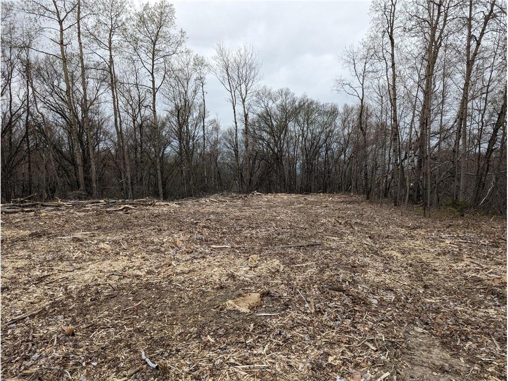 002 770th Avenue Colfax WI 54730 1581468 image13