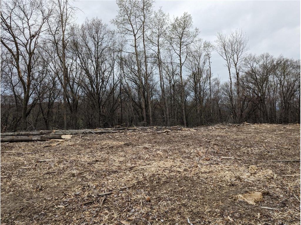 002 770th Avenue Colfax WI 54730 1581468 image14