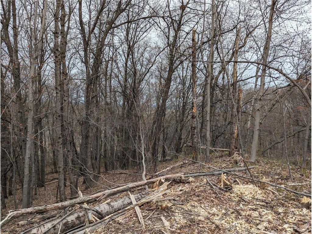 002 770th Avenue Colfax WI 54730 1581468 image15