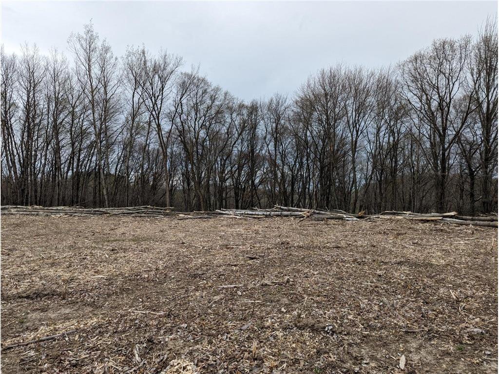 002 770th Avenue Colfax WI 54730 1581468 image17