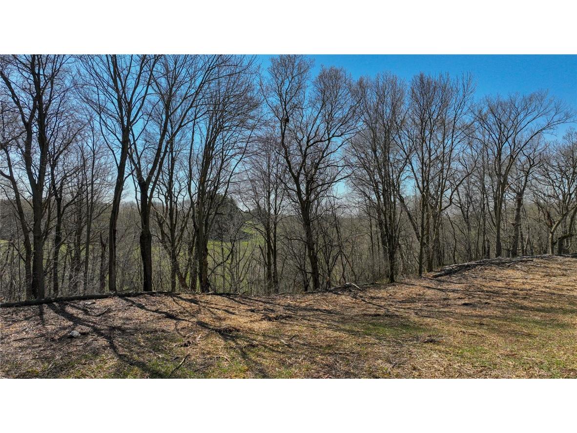 002 770th Avenue Colfax WI 54730 1581468 image9