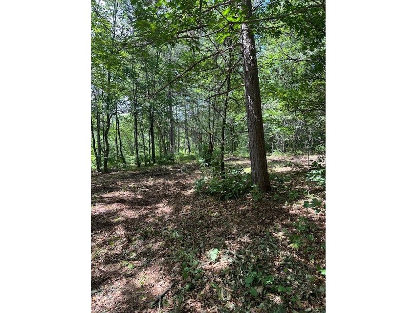 002 Little Bass Lake Road Spooner WI 54801 - Rocky 1583465 image1