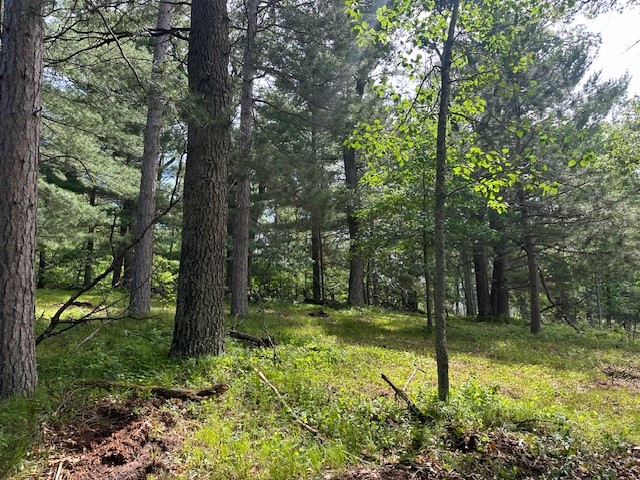 003 Little Bass Lake Road Spooner WI 54801 - Rocky Creek 1583467 image1