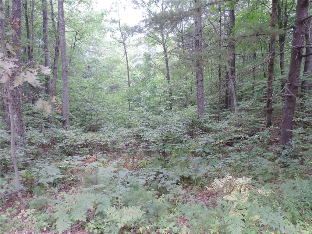 01 Moyer Road Stone Lake WI 54876 1557571 image1