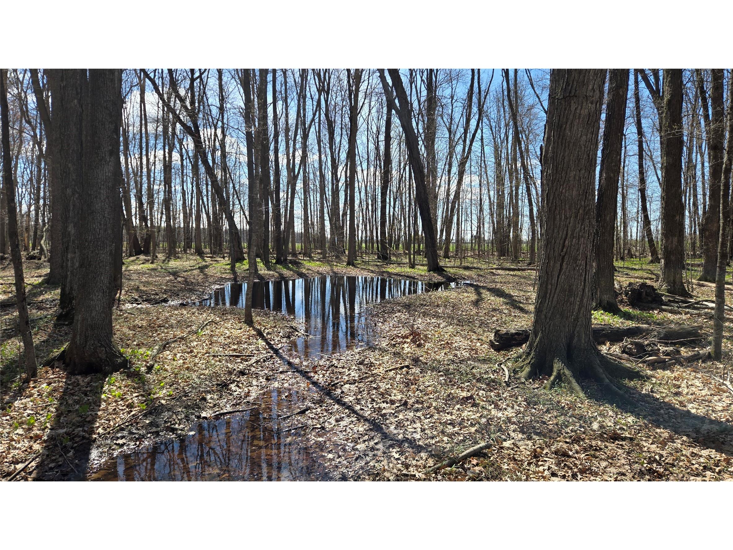 012345 26th Ave. Rice Lake WI 54868 1602600 image13