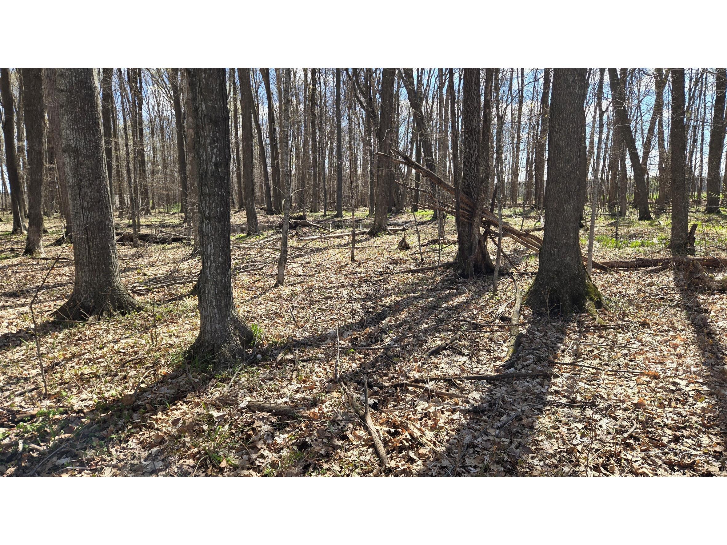 012345 26th Ave. Rice Lake WI 54868 1602600 image14