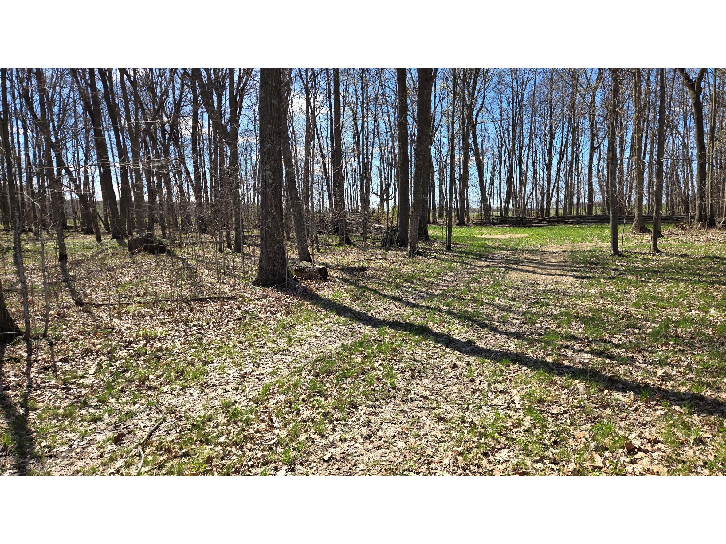 012345 26th Ave. Rice Lake WI 54868 1602600 image3