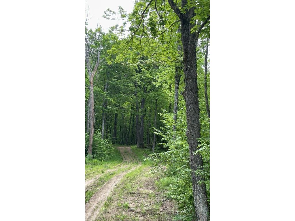 1-10 Parcels County Hwy 27 Exeland WI 54835 1601818 image11