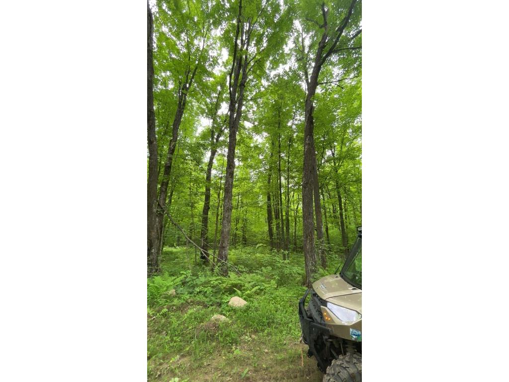 1-10 Parcels County Hwy 27 Exeland WI 54835 1601818 image27