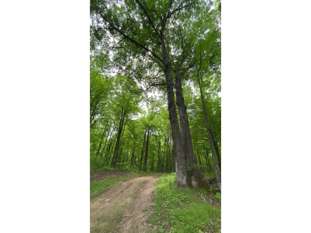 1-10 Parcels County Hwy 27 Exeland WI 54835 1601818 image28