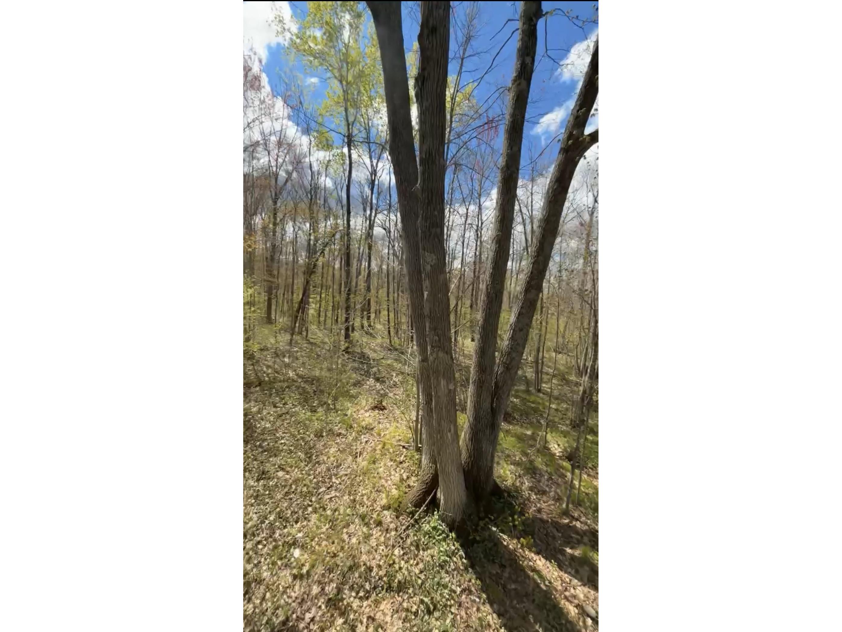1-10 Parcels County Hwy 27 Exeland WI 54835 1601818 image31