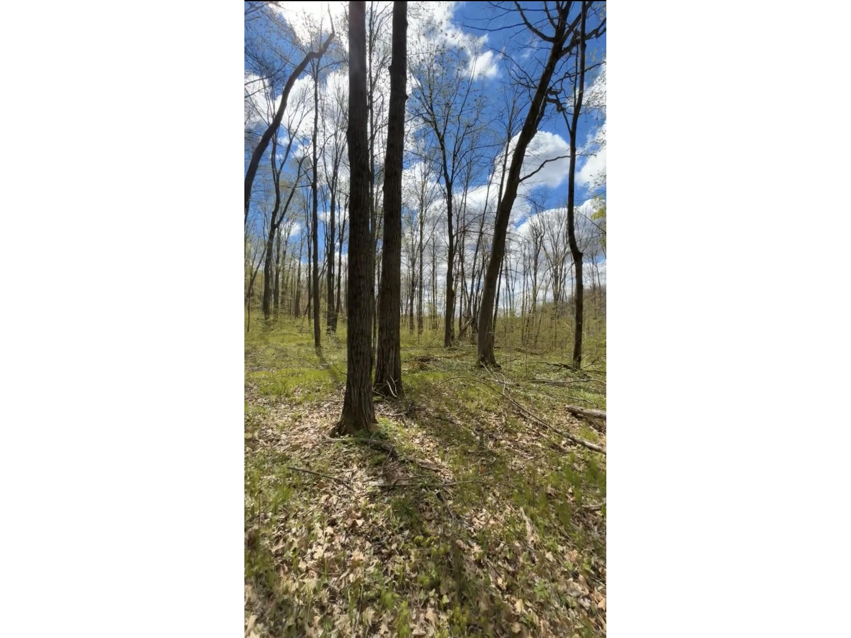 1-10 Parcels County Hwy 27 Exeland WI 54835 1601818 image34
