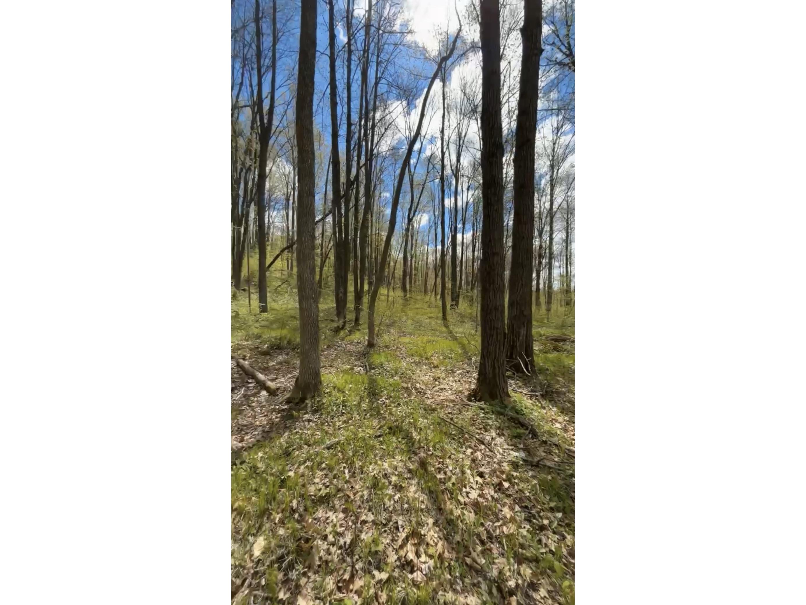1-10 Parcels County Hwy 27 Exeland WI 54835 1601818 image35