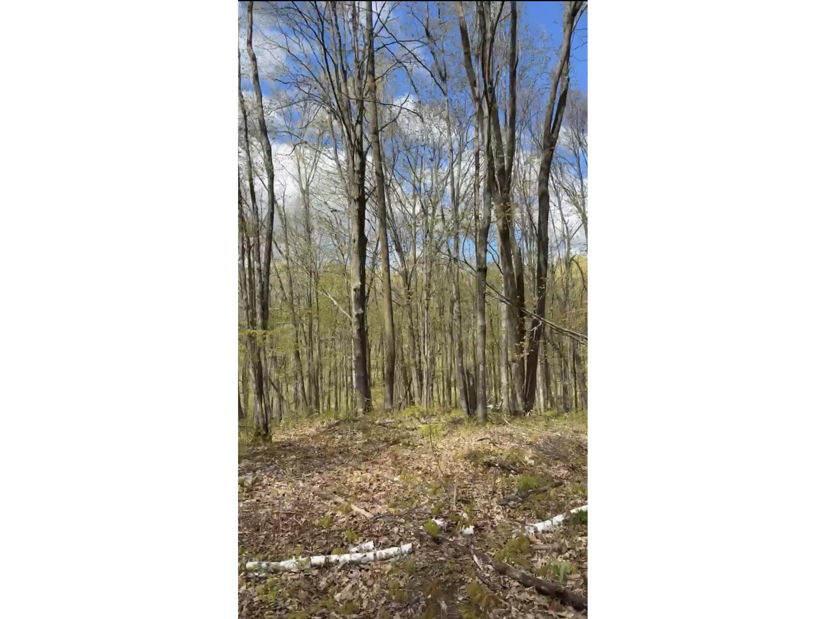 1-10 Parcels County Hwy 27 Exeland WI 54835 1601818 image44
