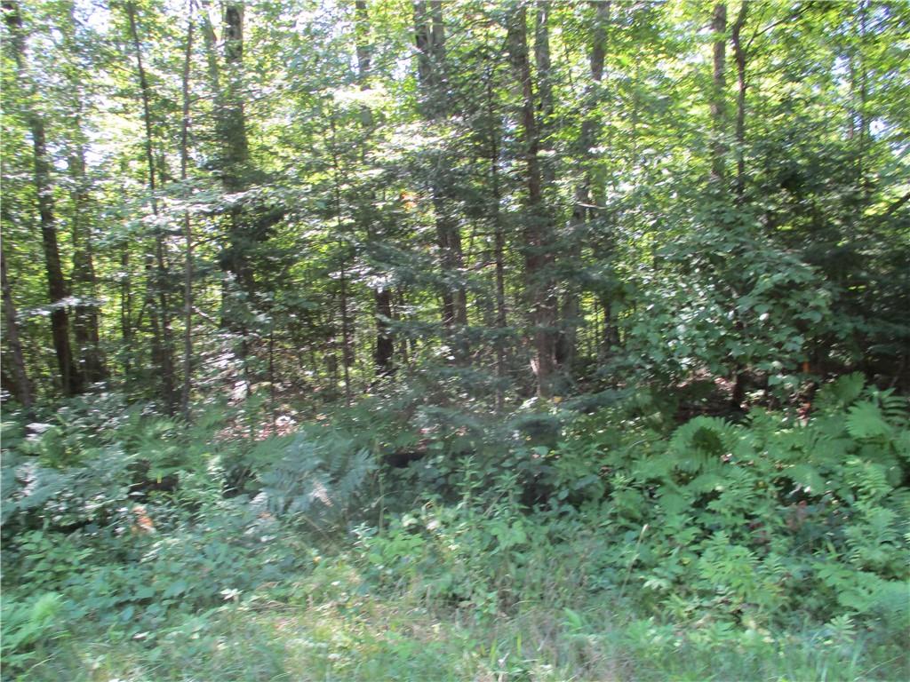 , Birchwood, WI, 54817 MLS 1567588 Edina Realty