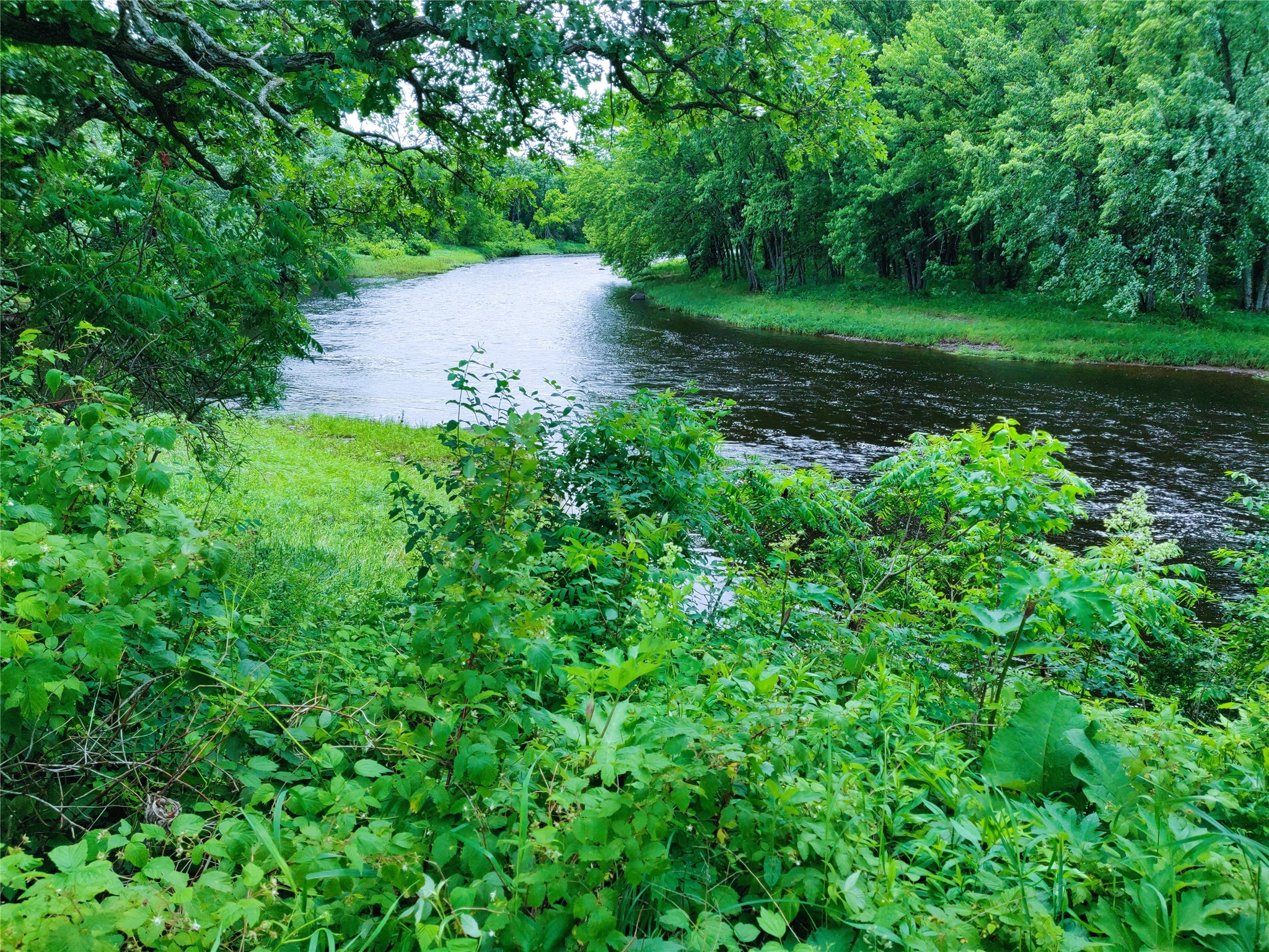 1.35 Acres On Isabella Lane Sheldon WI 54766 - JUMP 1600871 image3