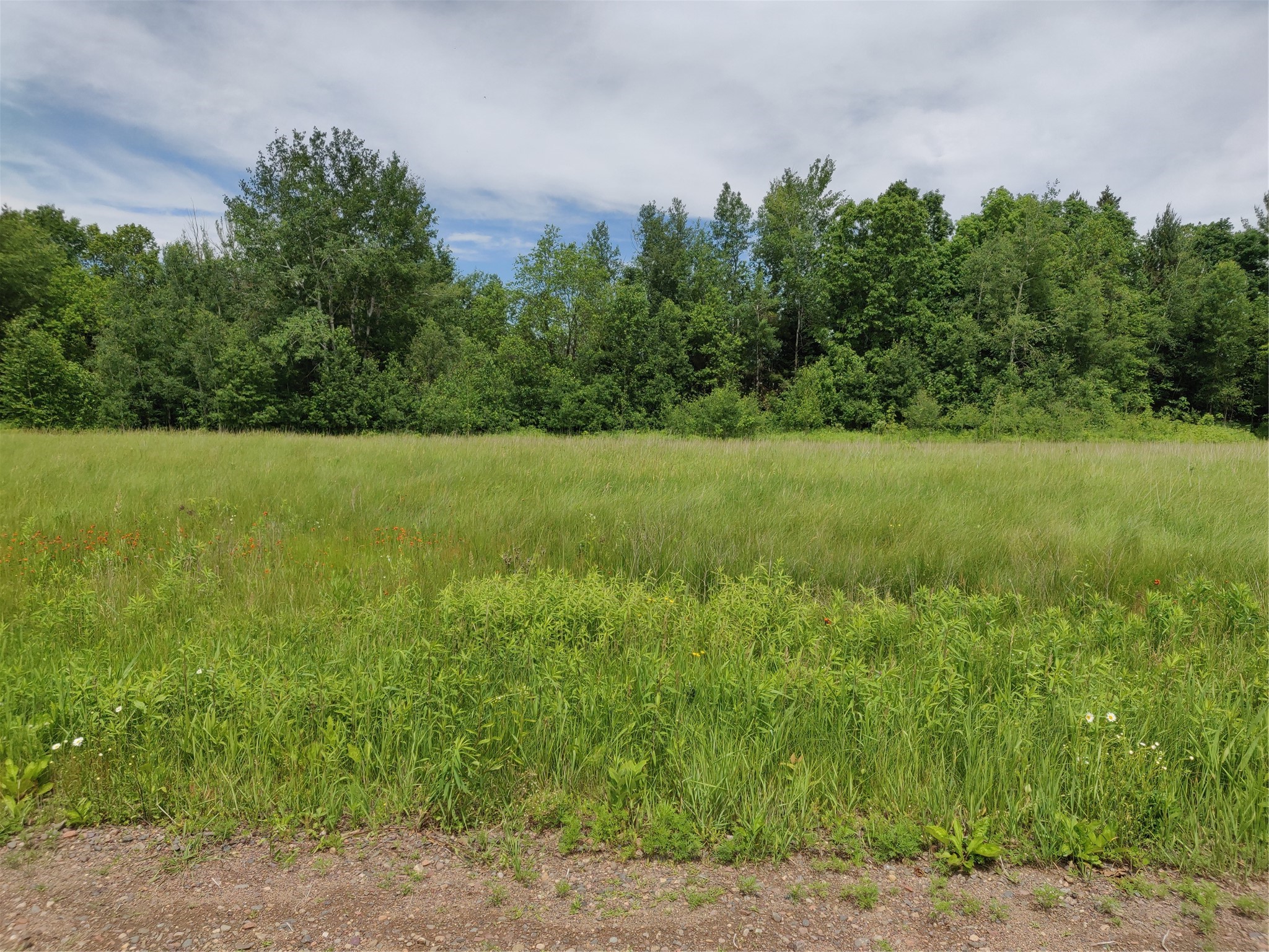 1.35 Acres On Isabella Lane Sheldon WI 54766 - JUMP 1600871 image4
