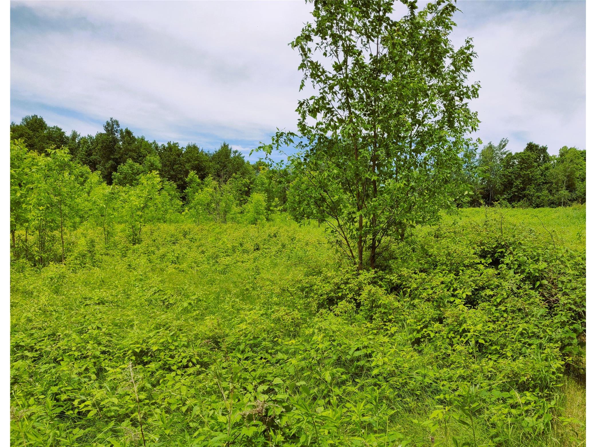 1.35 Acres On Isabella Lane Sheldon WI 54766 - JUMP 1600871 image5