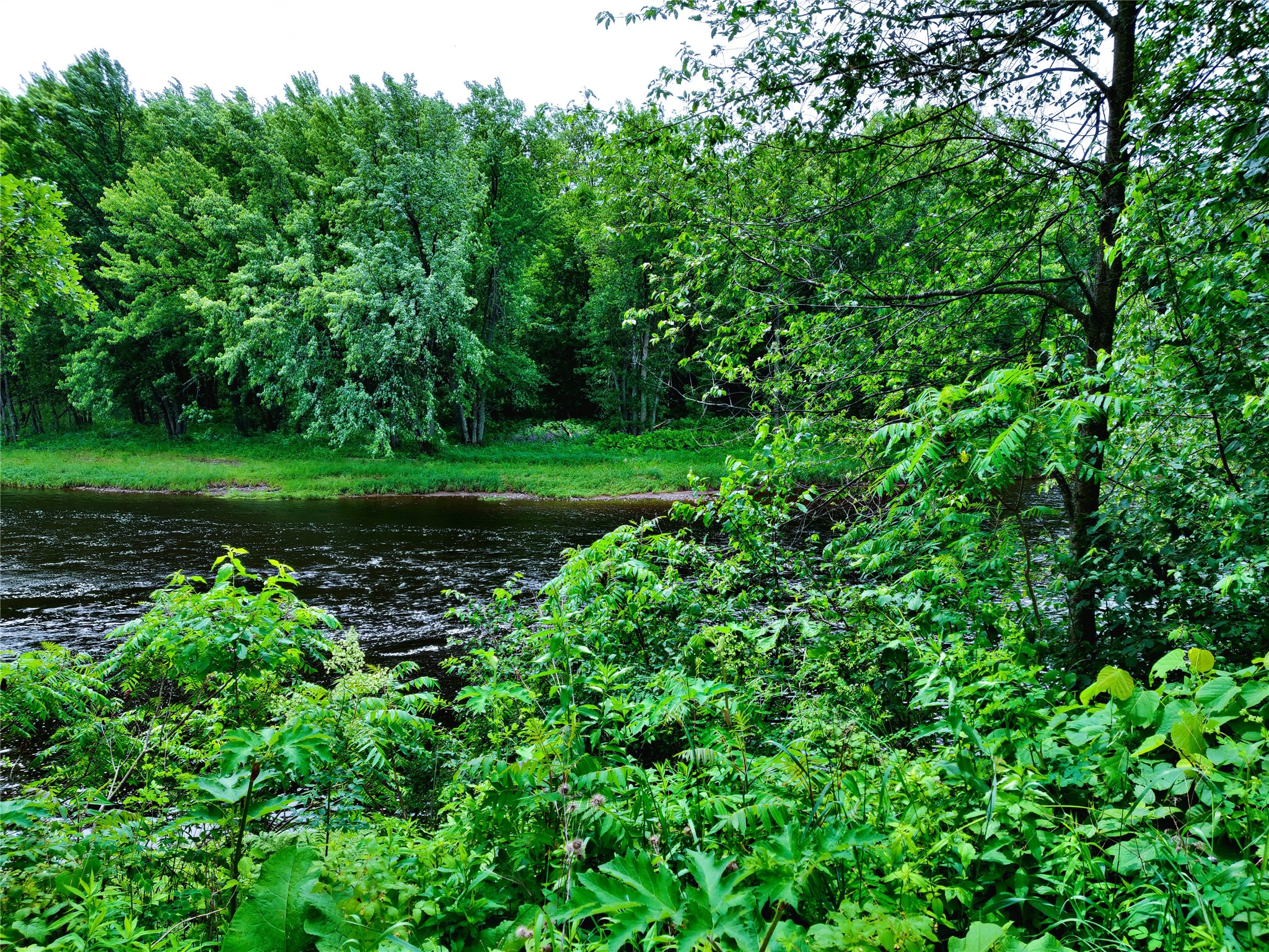 1.35 Acres On Isabella Lane Sheldon WI 54766 - JUMP 1600871 image8