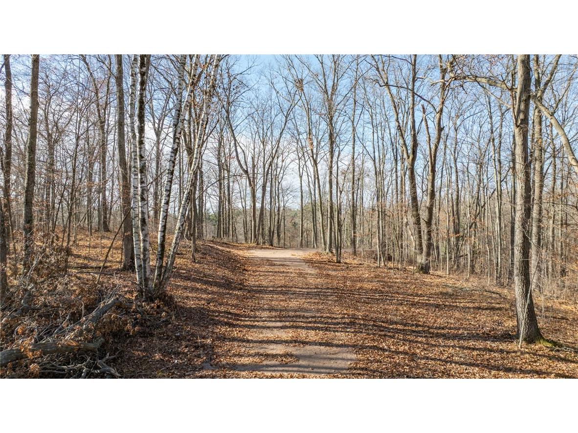 1.50 Acre On 290th Avenue Holcombe WI 54745 1597029 image1