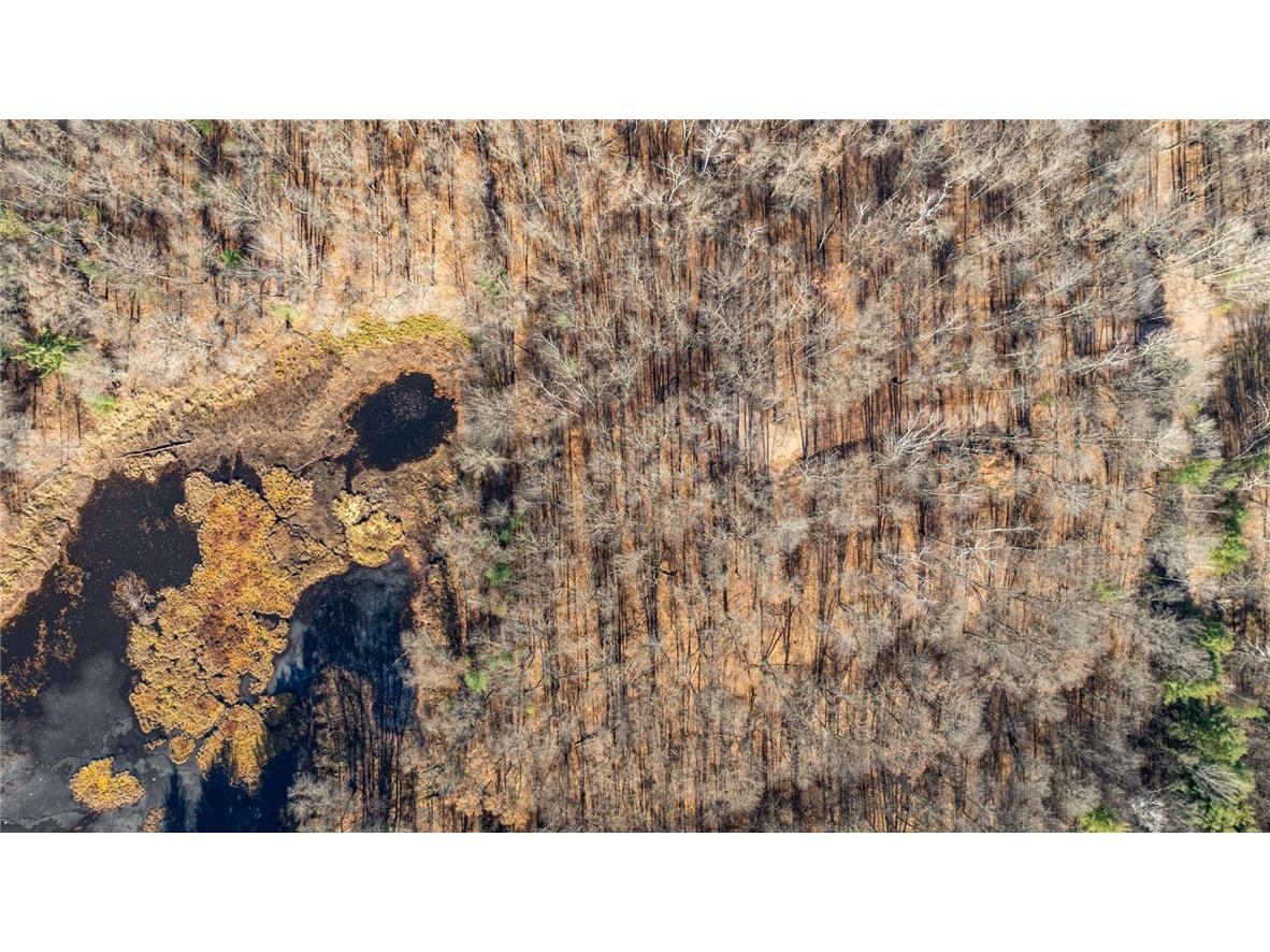 1.50 Acre On 290th Avenue Holcombe WI 54745 1597029 image13