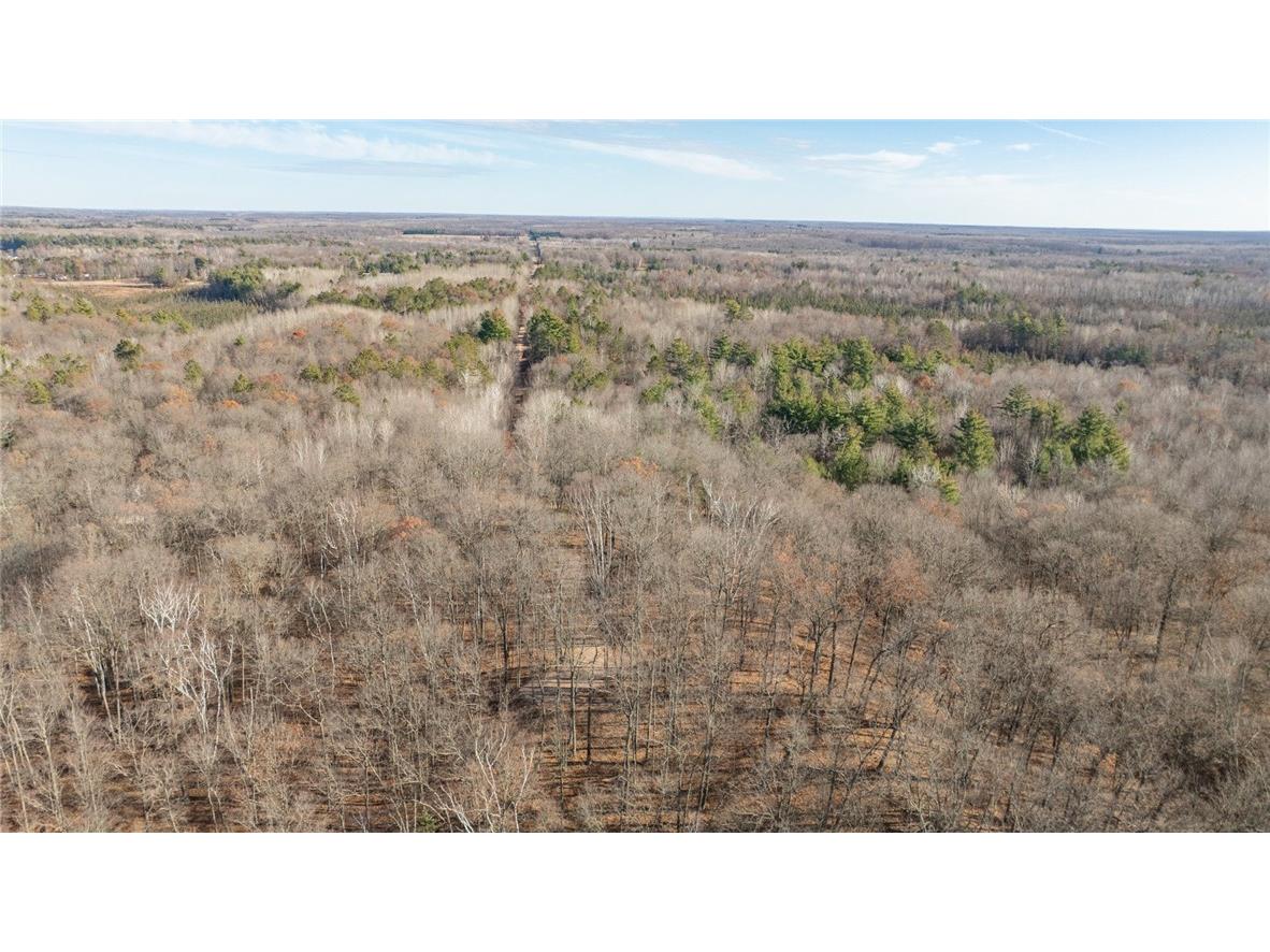 1.50 Acre On 290th Avenue Holcombe WI 54745 1597029 image14