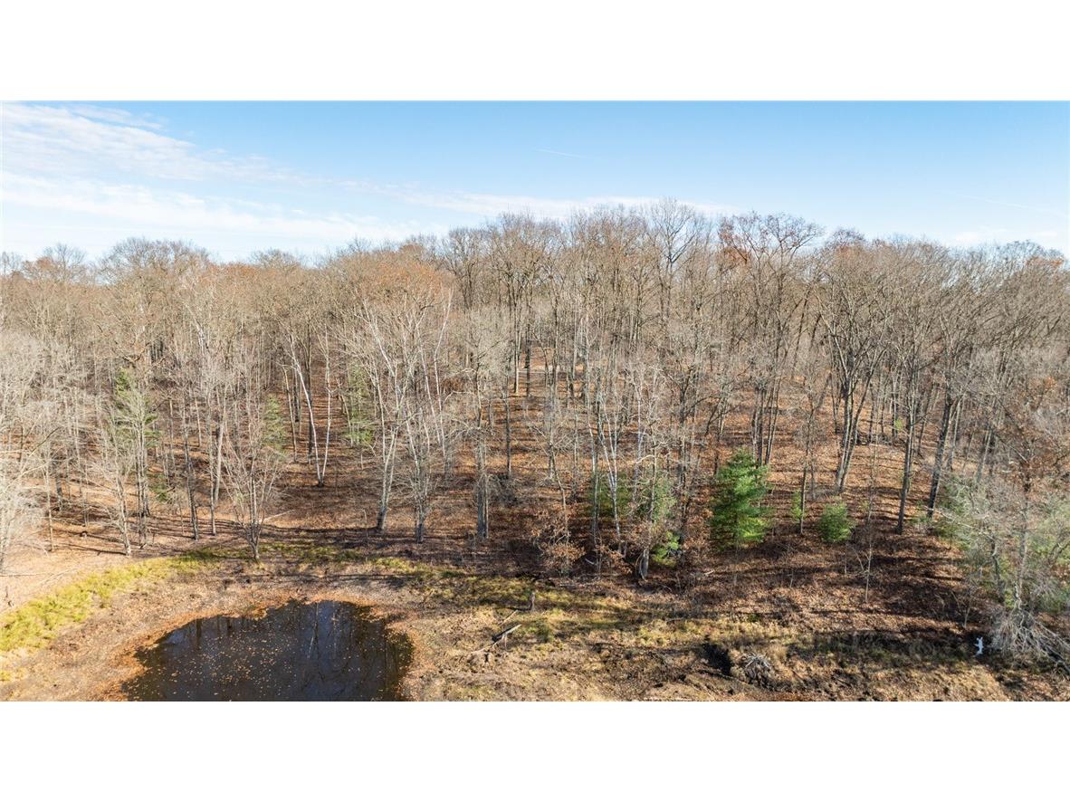 1.50 Acre On 290th Avenue Holcombe WI 54745 1597029 image3