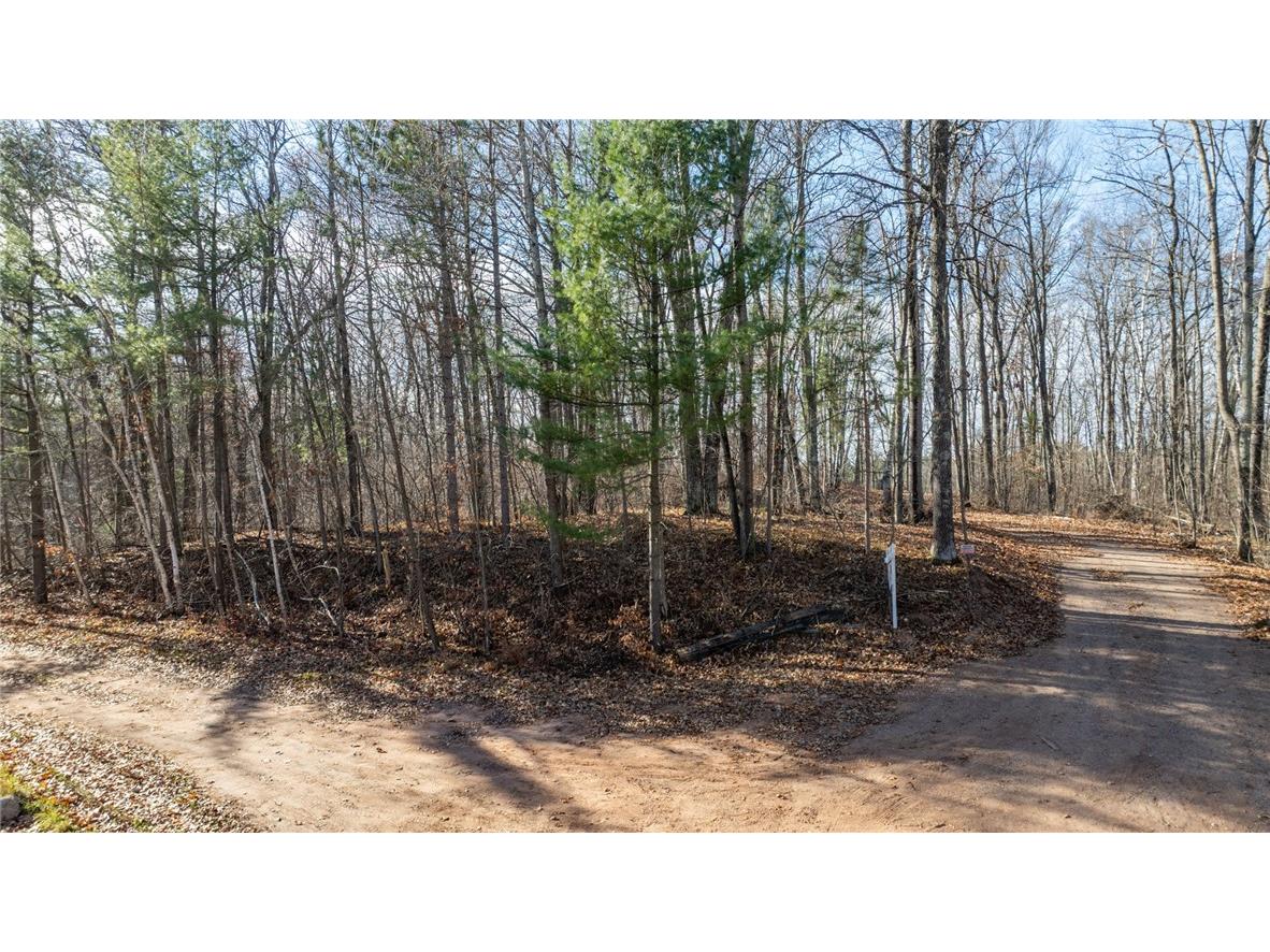 1.50 Acre On 290th Avenue Holcombe WI 54745 1597029 image4