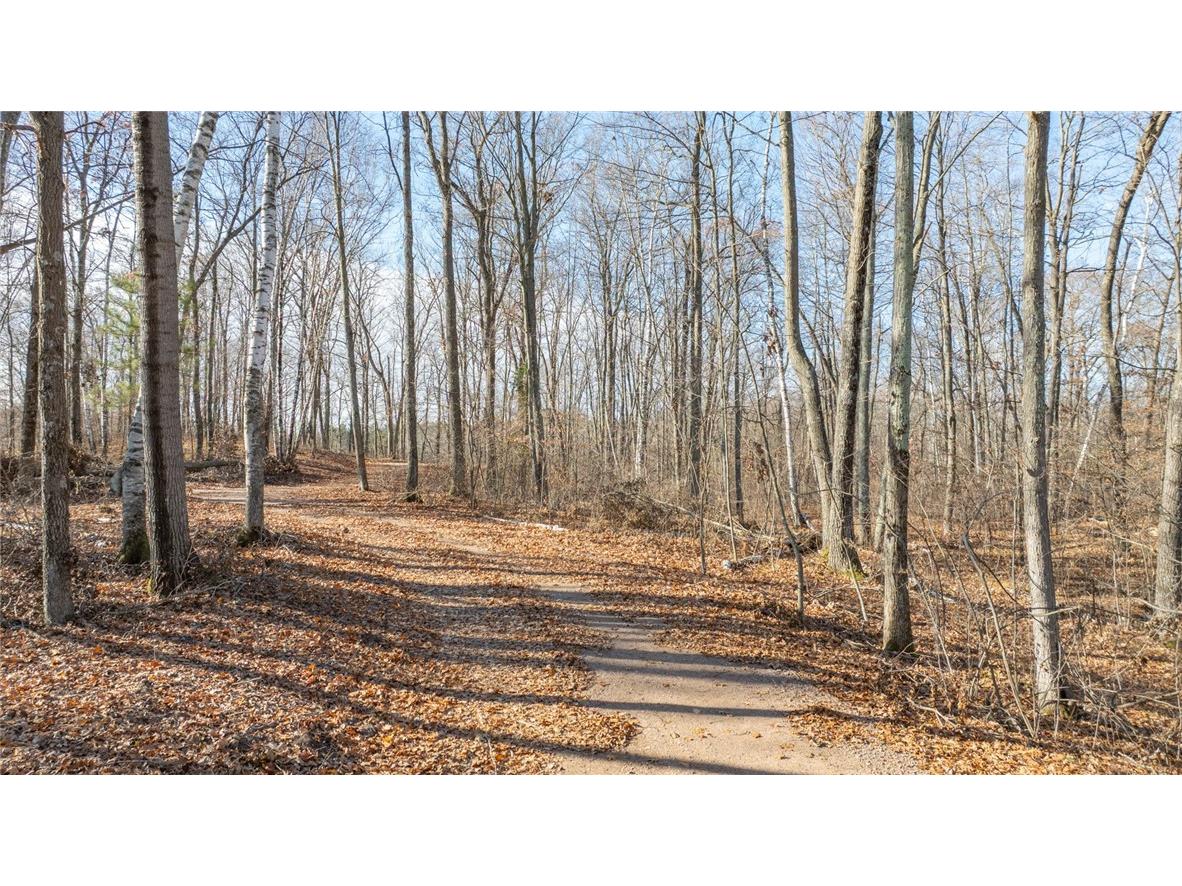 1.50 Acre On 290th Avenue Holcombe WI 54745 1597029 image5