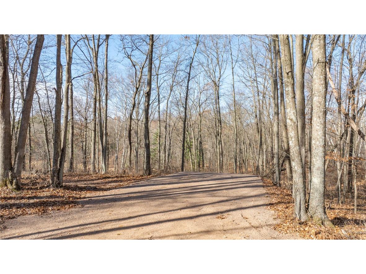 1.50 Acre On 290th Avenue Holcombe WI 54745 1597029 image6