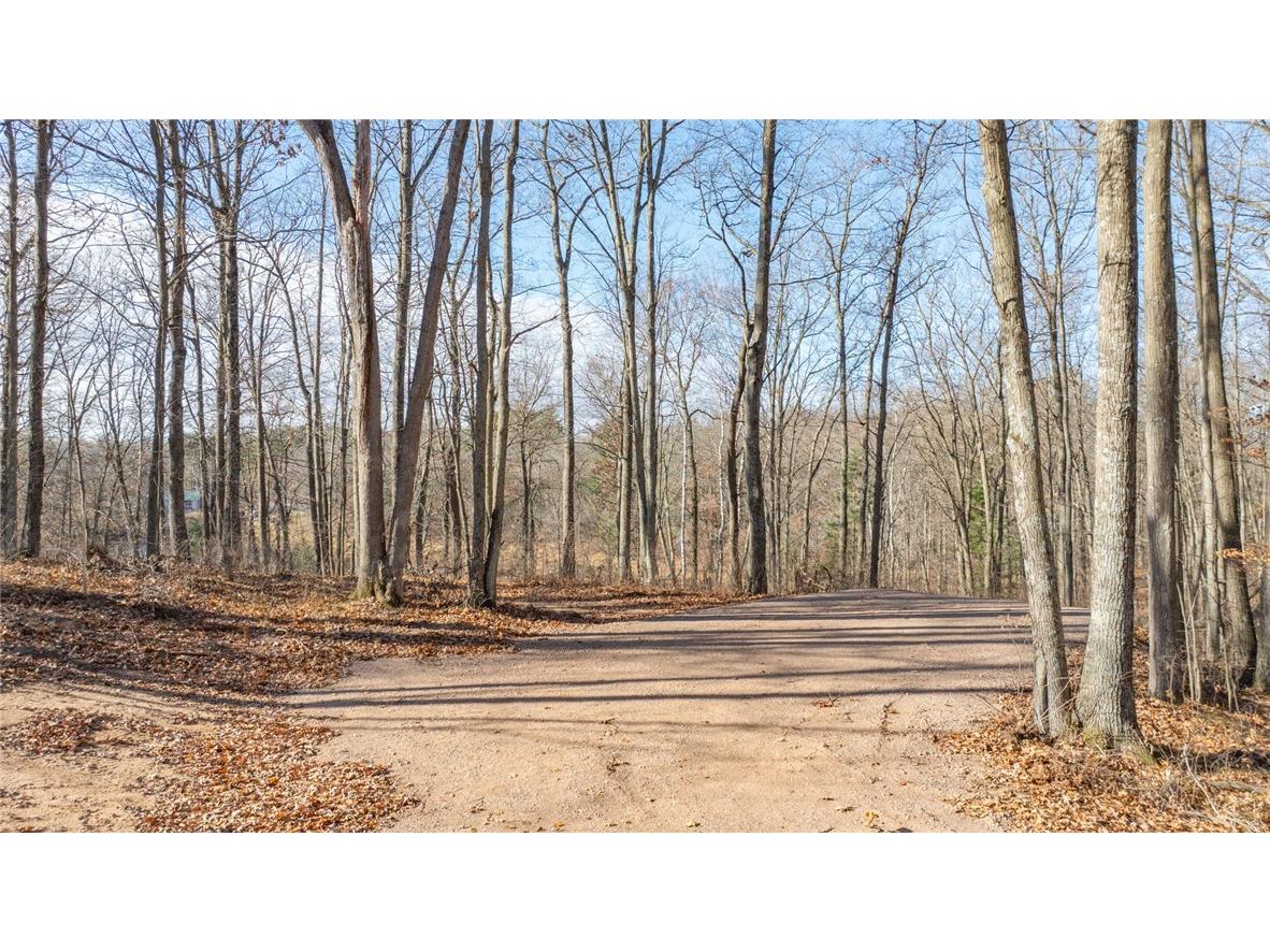 1.50 Acre On 290th Avenue Holcombe WI 54745 1597029 image7