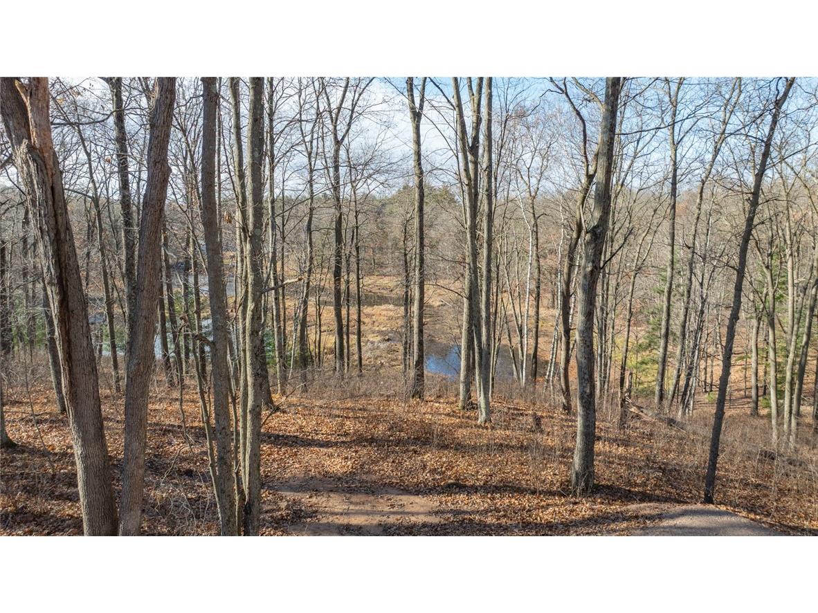 1.50 Acre On 290th Avenue Holcombe WI 54745 1597029 image9
