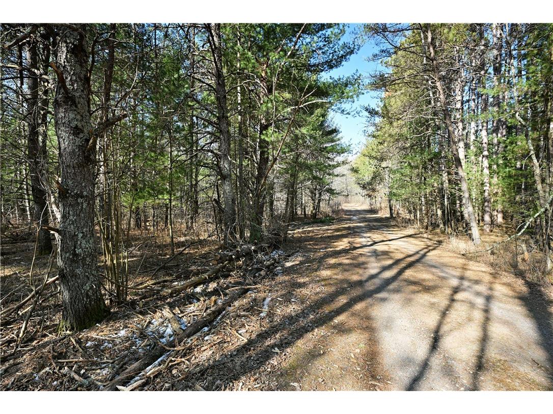 1.74 Acres 9th Street Spooner WI 54801 - Potato Creek 1590586 image13