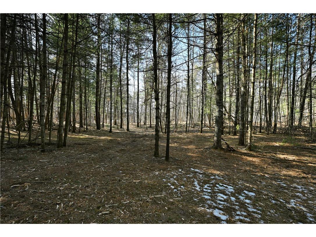 1.74 Acres 9th Street Spooner WI 54801 - Potato Creek 1590586 image2