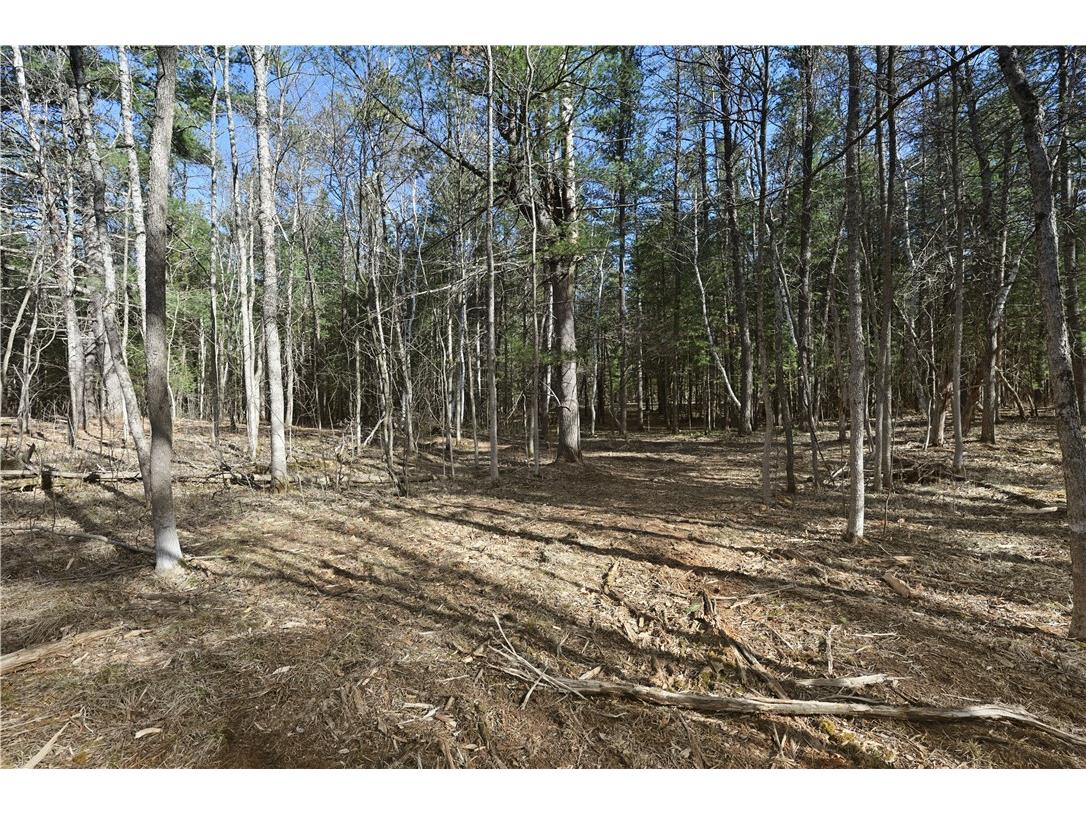 1.74 Acres 9th Street Spooner WI 54801 - Potato Creek 1590586 image3