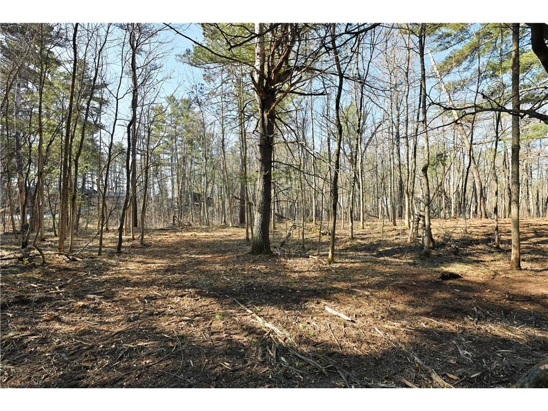 1.74 Acres 9th Street Spooner WI 54801 - Potato Creek 1590586 image6