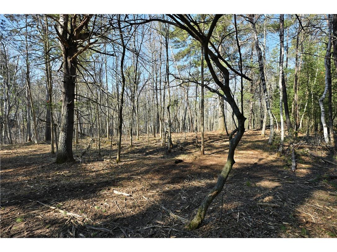 1.74 Acres 9th Street Spooner WI 54801 - Potato Creek 1590586 image7