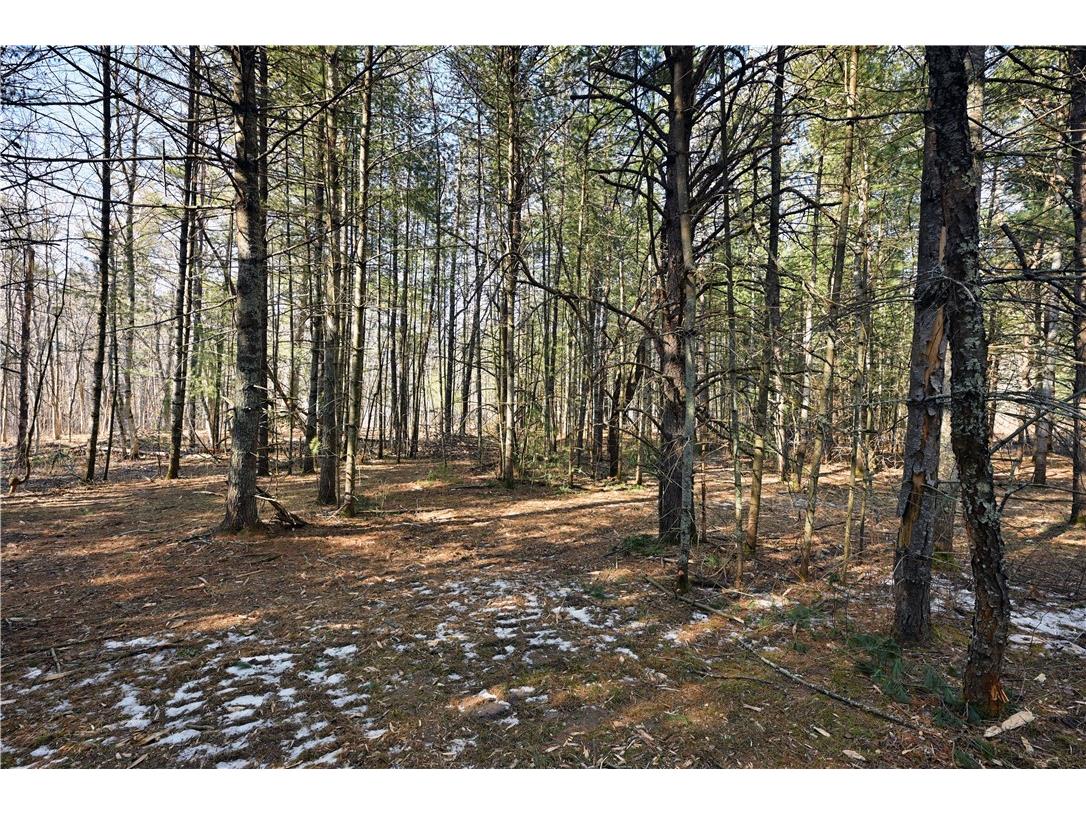 1.74 Acres 9th Street Spooner WI 54801 - Potato Creek 1590586 image8