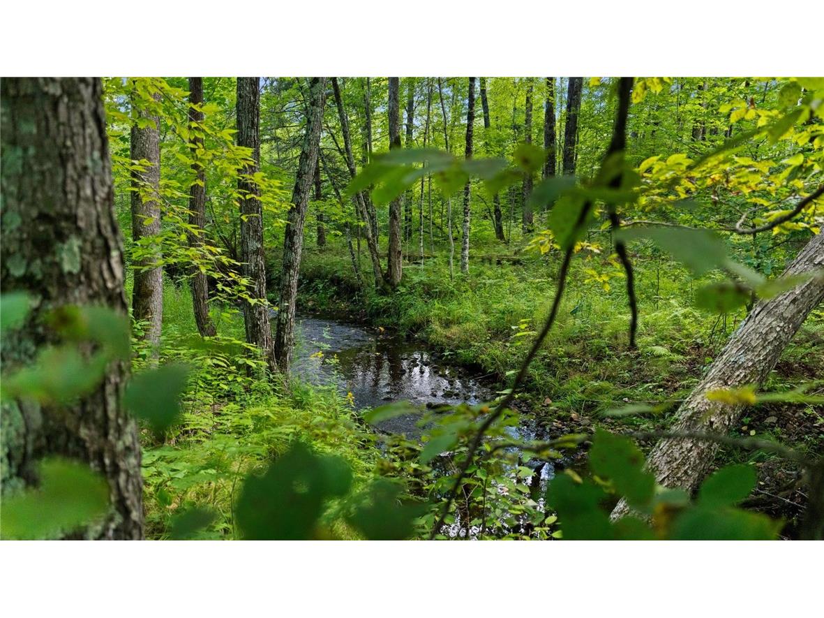 1923 ACRES County Hwy C & Comet Road Exeland WI 54835 - Swift Creek 1595405 image37