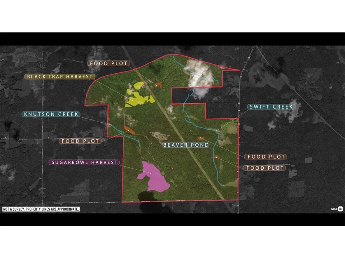 1923 ACRES County Hwy C & Comet Road Exeland WI 54835 - Swift Creek 1595405 image4