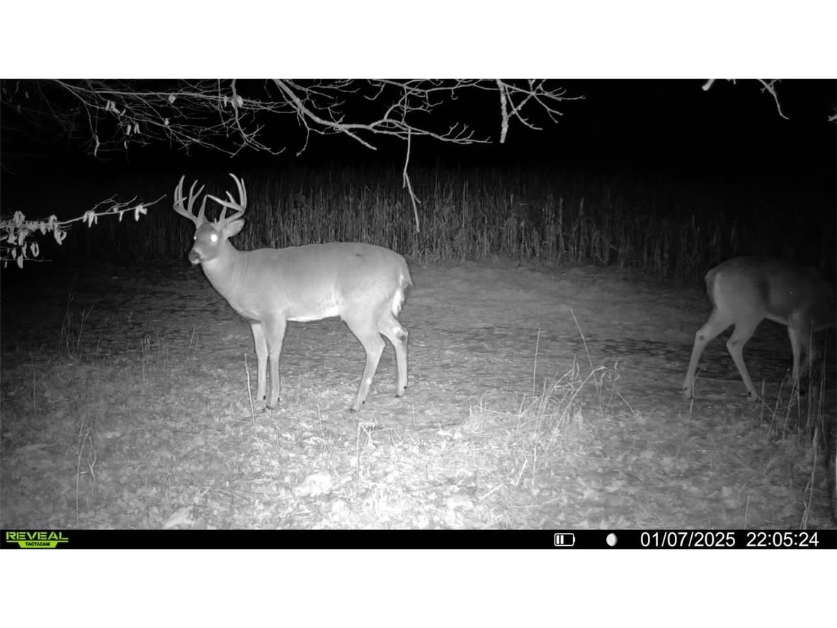1923 ACRES County Hwy C & Comet Road Exeland WI 54835 - Swift Creek 1595405 image46