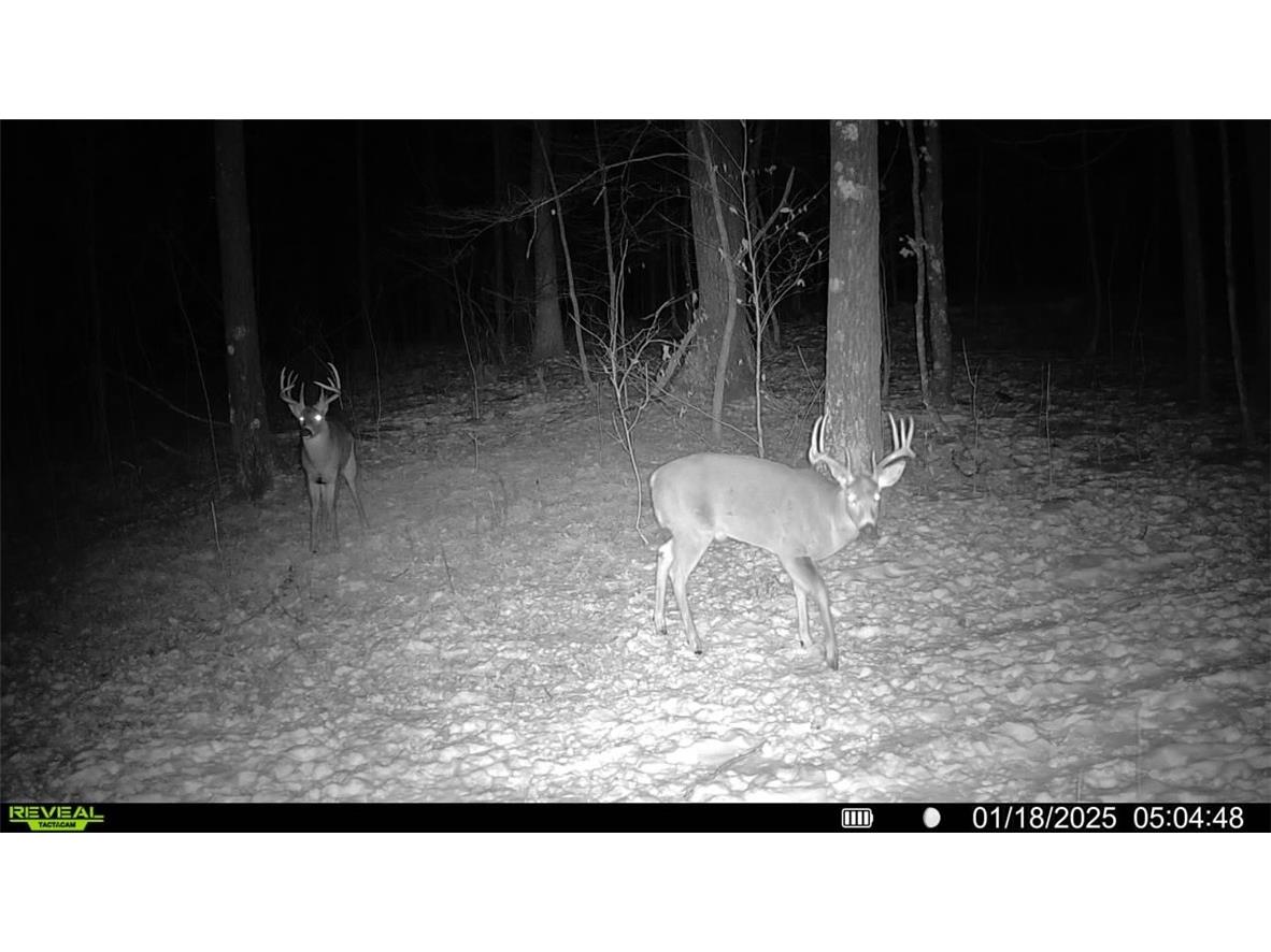 1923 ACRES County Hwy C & Comet Road Exeland WI 54835 - Swift Creek 1595405 image47