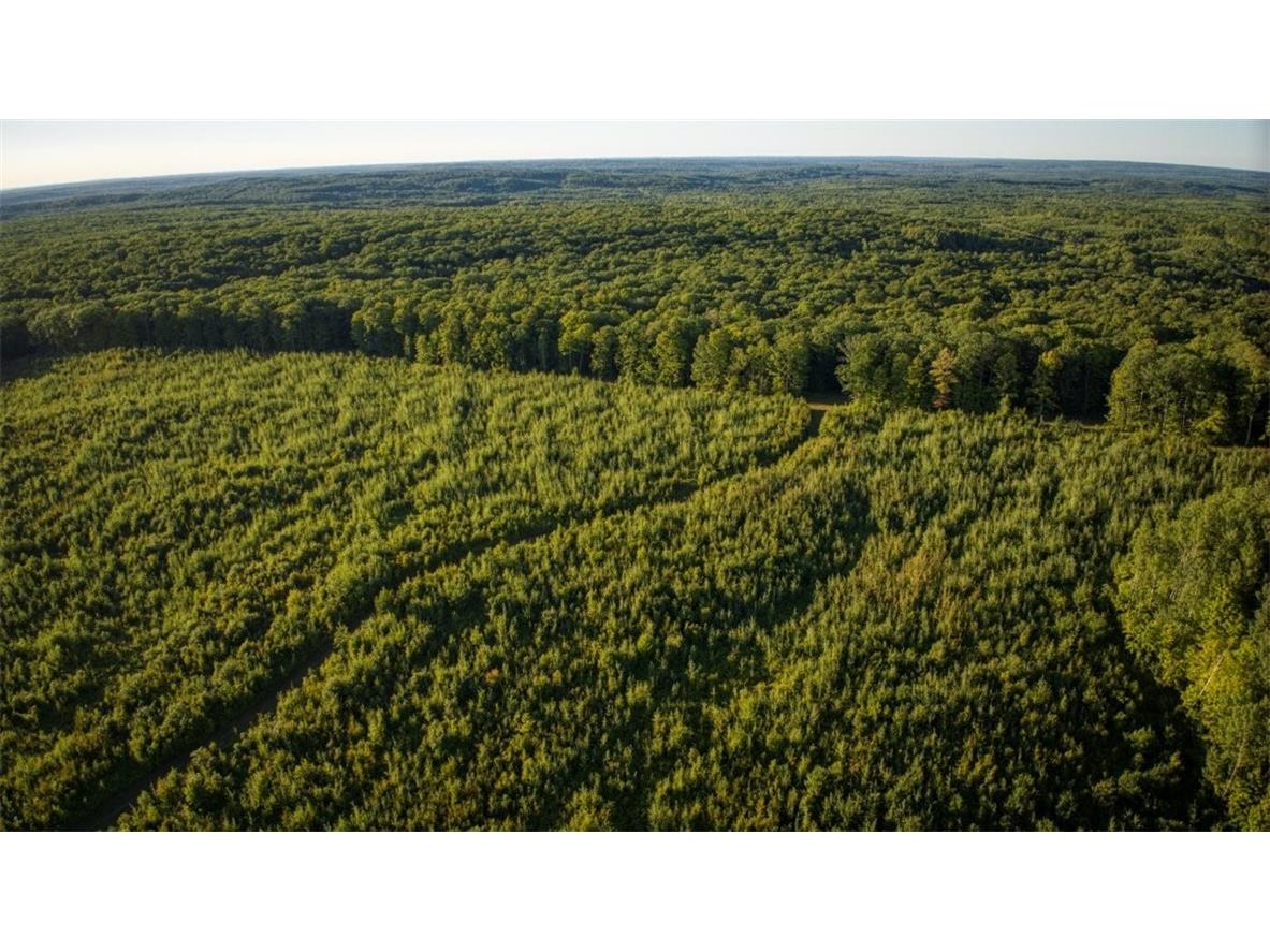 1923 ACRES County Hwy C & Comet Road Exeland WI 54835 - Swift Creek 1595405 image56