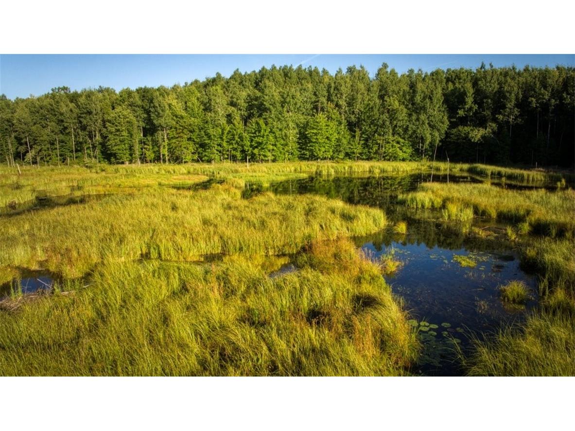 1923 ACRES County Hwy C & Comet Road Exeland WI 54835 - Swift Creek 1595405 image9