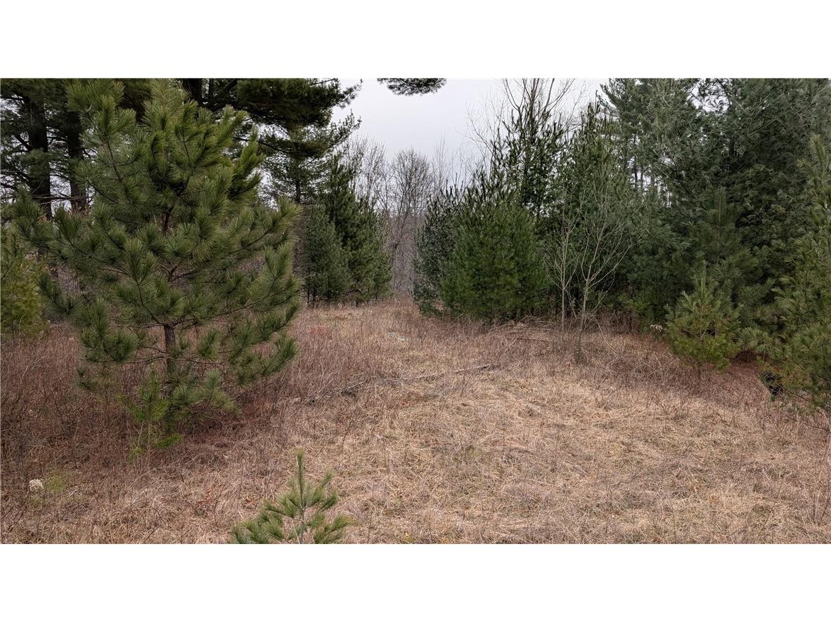 1 954th Street Colfax WI 54730 1590510 image1