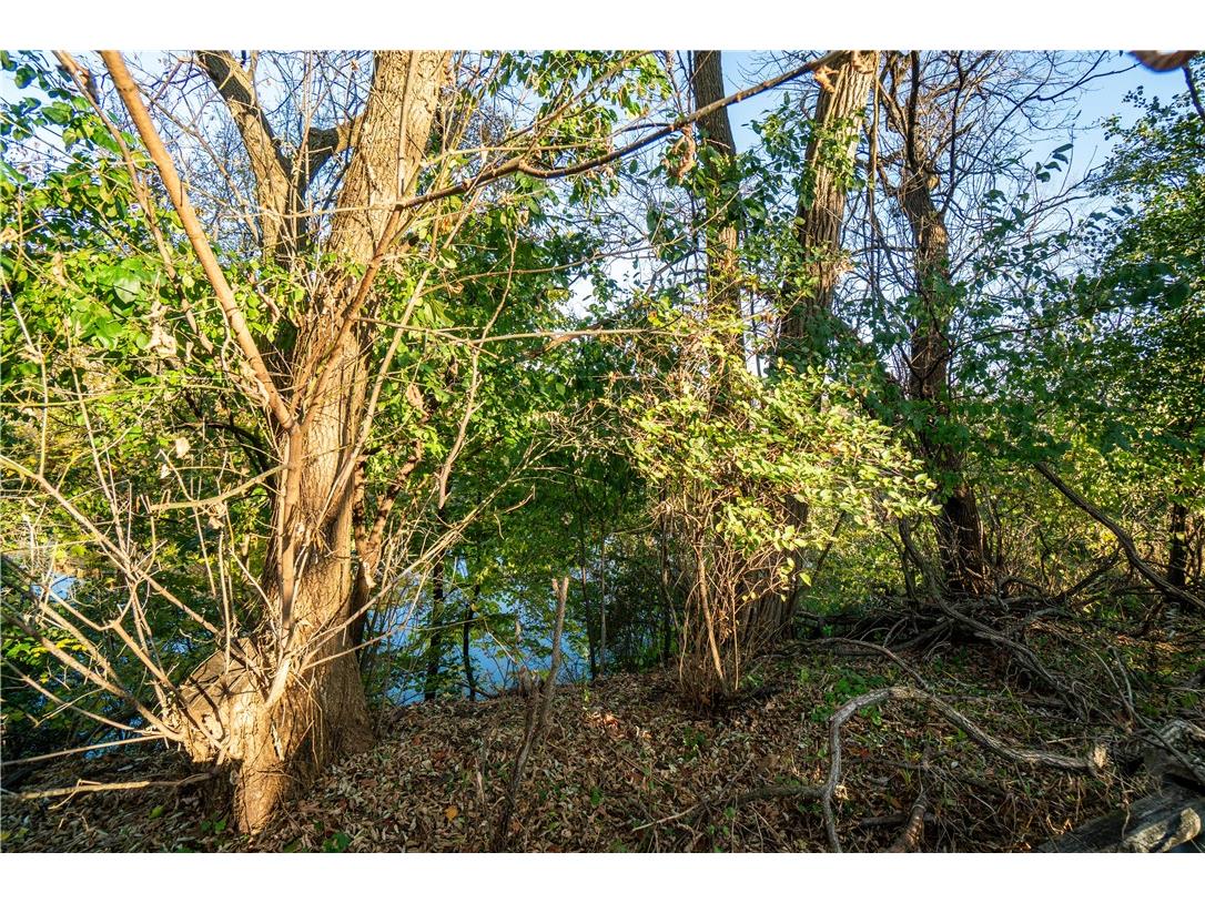 1 Judith Street Chippewa Falls WI 54729 - DUNCAN 1596863 image7