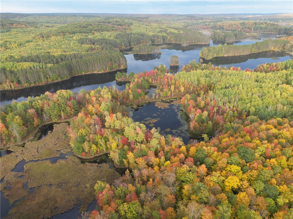10.08 acres County Rd F Birchwood WI 54817 - Murphy 1571757 image1