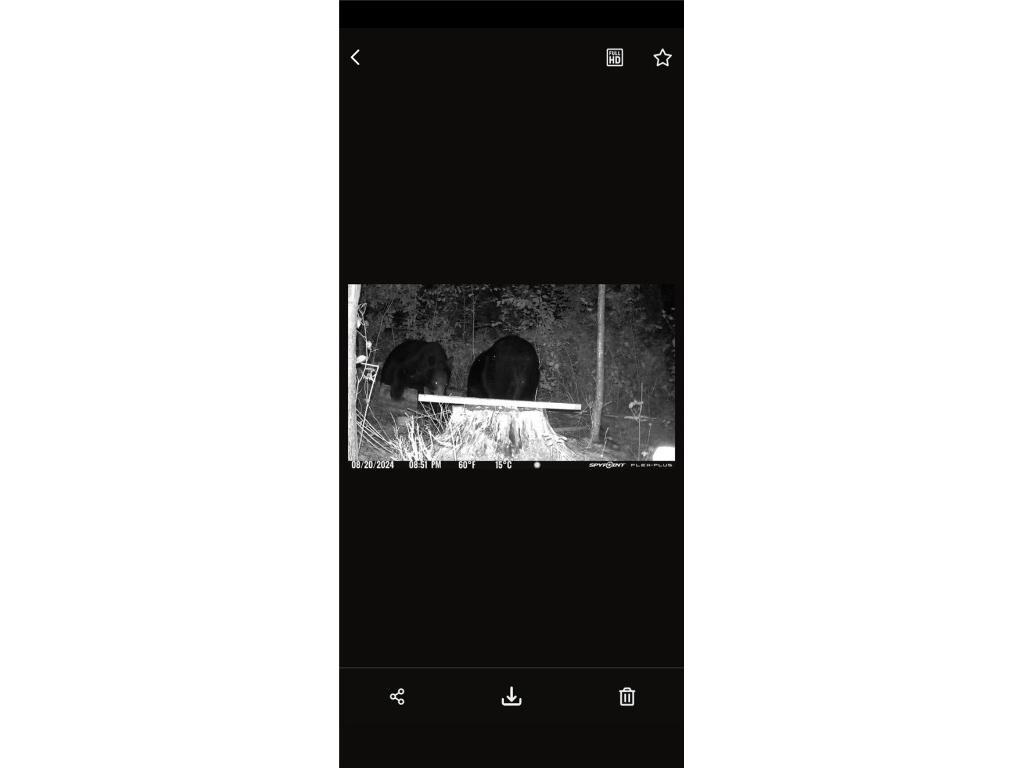 10 Ac River Rd. Boyd WI 54726 1594681 image10