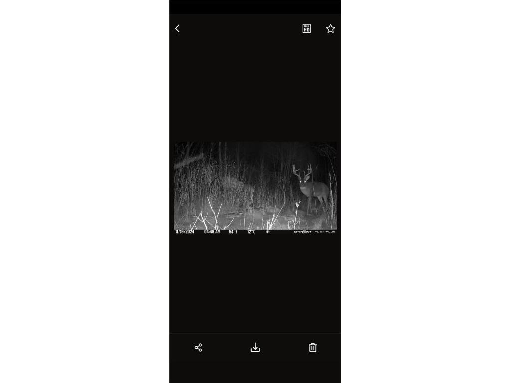 10 Ac River Rd. Boyd WI 54726 1594681 image11