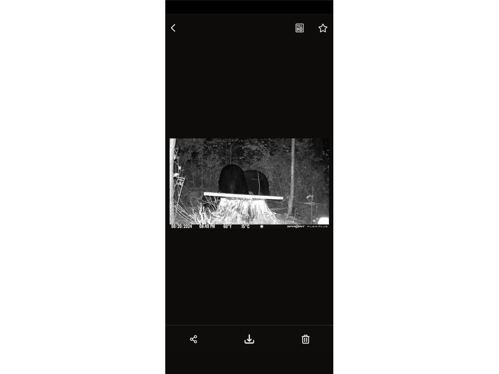 10 Ac River Rd. Boyd WI 54726 1594681 image14